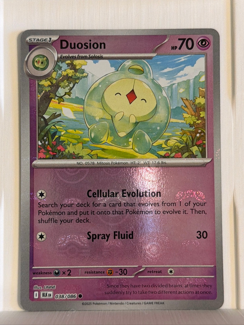 Duosion (Master Ball Pattern) Common SV: Black Bolt 038/086 NM