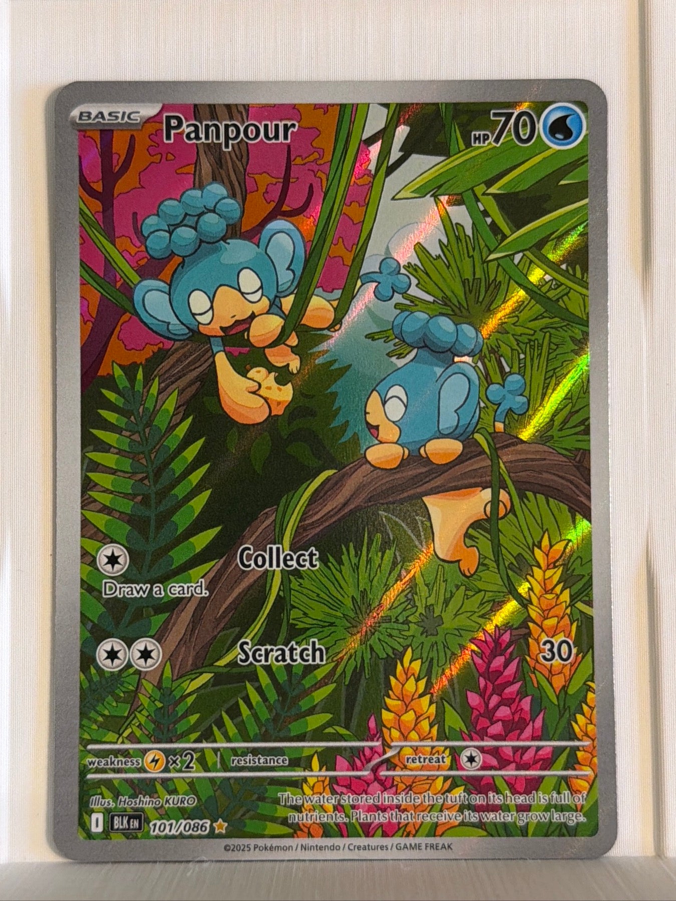 Panpour Illustration Rare SV: Black Bolt 101/086 NM