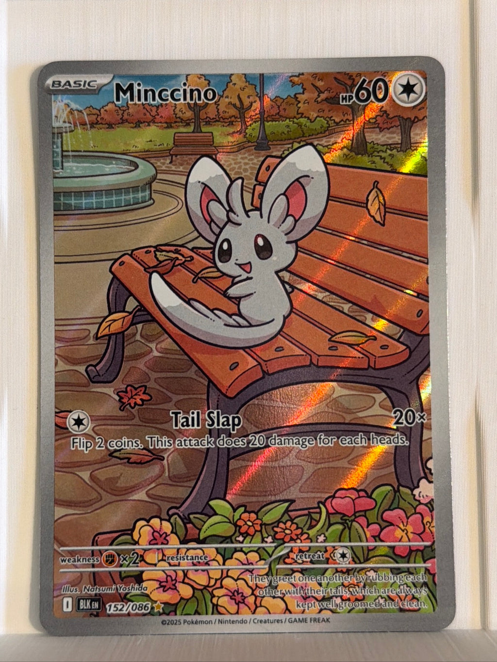Minccino Illustration Rare SV: Black Bolt 152/086 NM