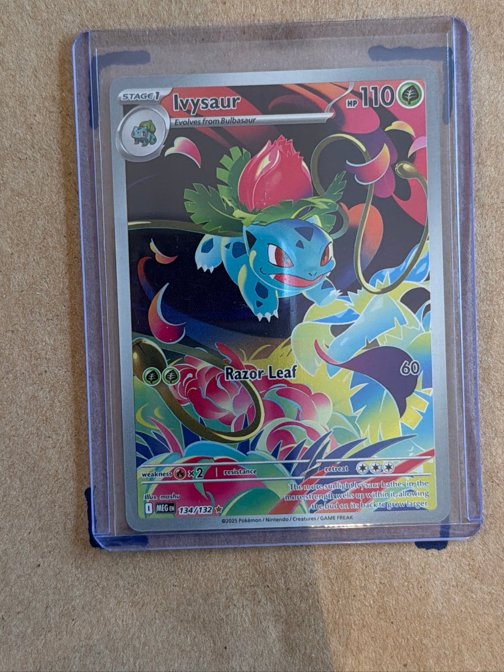 Ivysaur - Illustration Rare ME01: Mega Evolution 134/132 NM