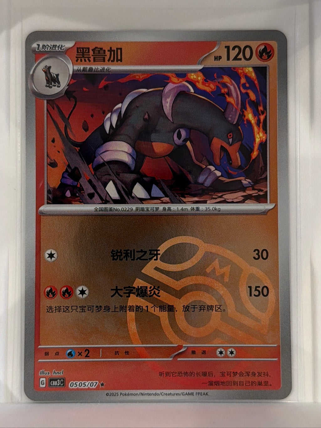 Houndoom  Gem Pack Volume 3 0502/07 NM