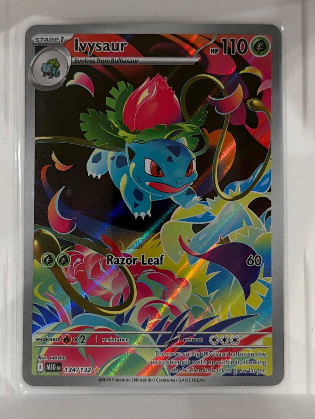 Ivysaur Illustration Rare ME01: Mega Evolution 134/132 NM